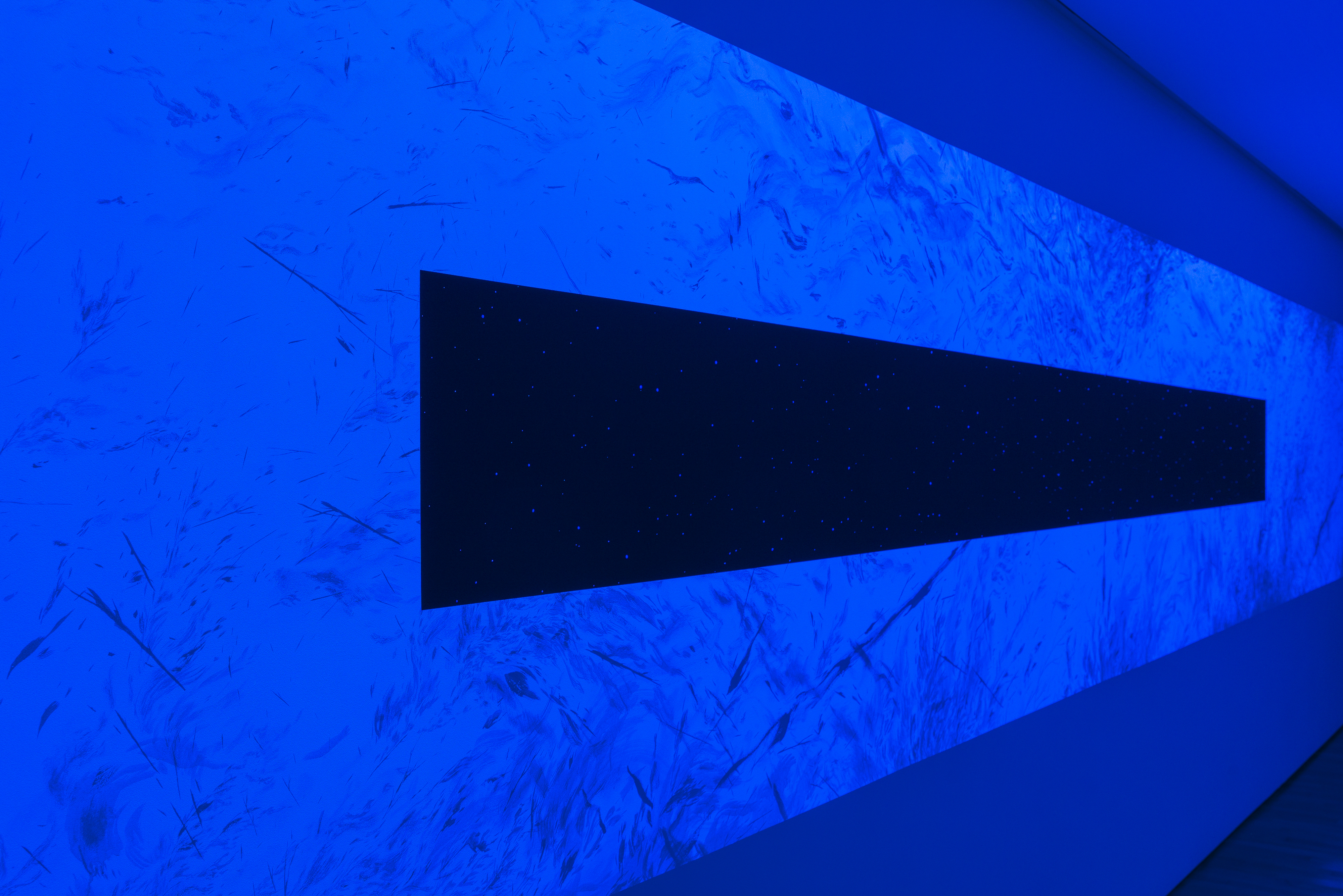 Vue de l'exposition ©François Baglin