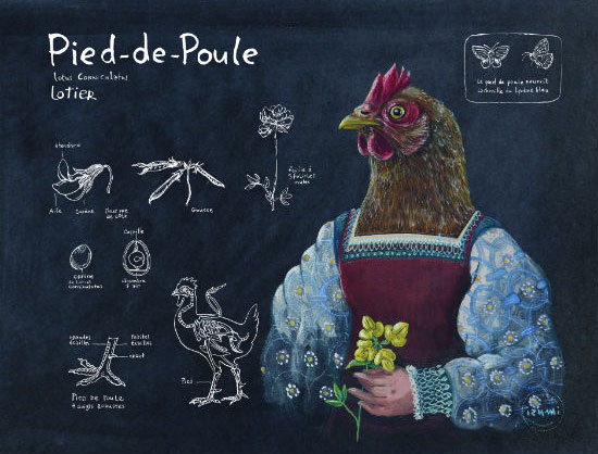 Pied de poule ©Izumi