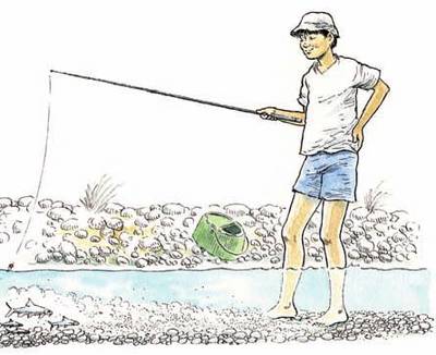 Pêche à trousse-culotte Pêche à trousse-culotte