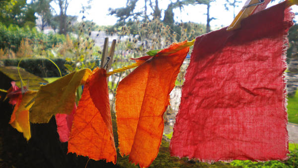 Ma fabrique à couleurs Ma fabrique à couleurs