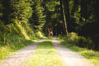 Randonnée : Un autre regard sur la nature Randonnée : Un autre regard sur la nature