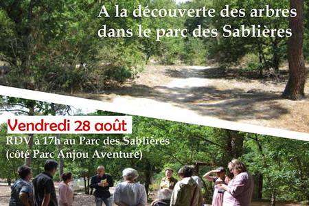 A la découverte des arbres A la découverte des arbres