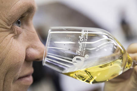 Atelier vin, éveil et sens Atelier vin, éveil et sens
