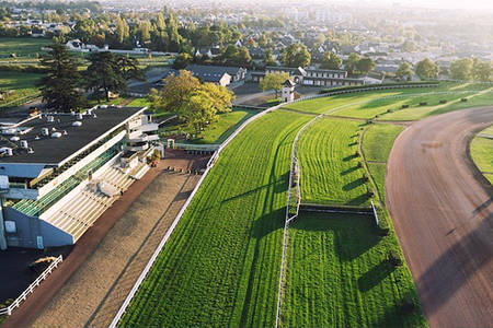 Courses hippiques Courses hippiques
