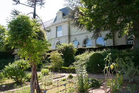 Visite du jardin botanique de la faculté de santé de l'Université d'Angers Visite du jardin botanique de la faculté de santé de l'Université d'Angers
