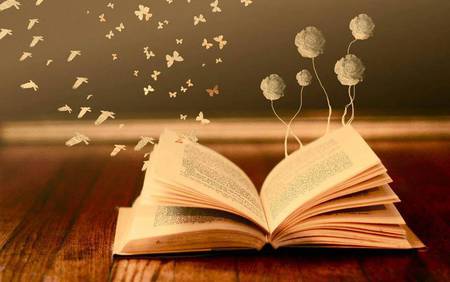 Bibliothèque des livres vivants // ANNULE Bibliothèque des livres vivants // ANNULE