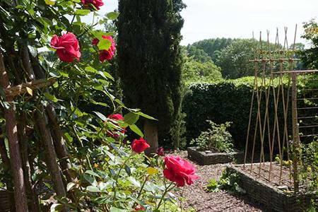 Sainte-Gemmes-sur-Loire, terre d'horticulteurs Sainte-Gemmes-sur-Loire, terre d'horticulteurs