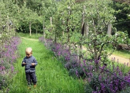 Atelier nature : mes jouets nature Atelier nature : mes jouets nature