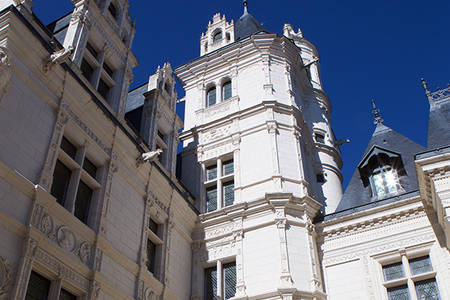 Visite guidée : l'hôtel de Pincé Visite guidée : l'hôtel de Pincé