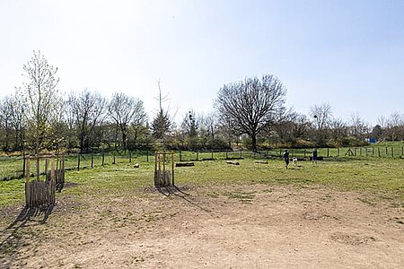 photo de l'espace canin du parc balzac