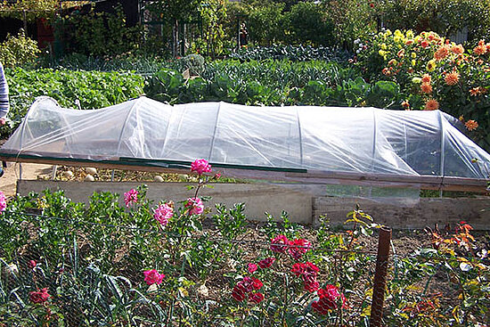 Photo des jardins familiaux de Levrrier