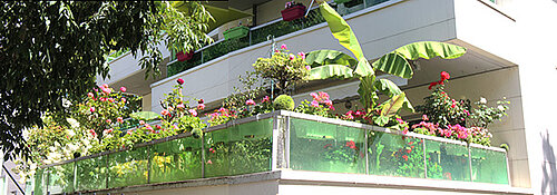 photo du 1er prix de la catégorie terrasse et grand balcon