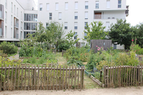 photo du 1er prix de la catégorie jardin collectif