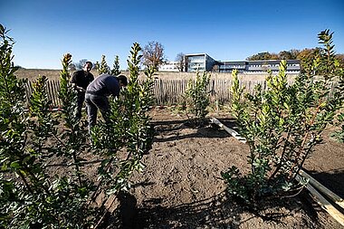 Plantation de la for&ecirc;t urbaine du plateau du Gr&eacute;sill&eacute;. 