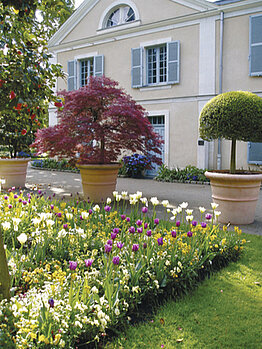 Le jardin des Essais © Ville d'Angers - Cliché Direction Parcs, Jardins et Paysages. Lydia Foucher.