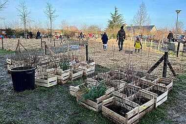 photo d'habitants qui plantent une mini-forêt