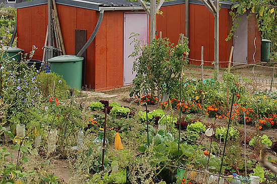 Photo des jardins familiaux &quot;Les Aupannes&quot;.