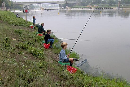 photo d'enfants qui pêchent sur la rive du lac.