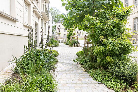 photo de la v&eacute;g&eacute;talisation de la rue du Parvis-Saint-Maurice 