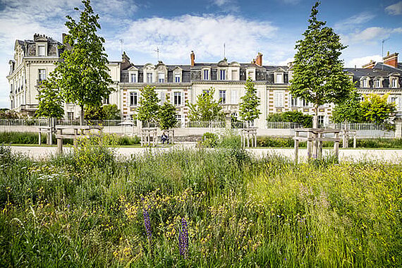 Allée Jeanne d'Arc