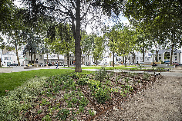 Photo de la place Ney réaménagée