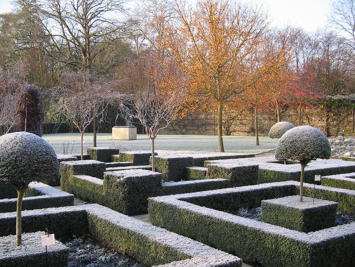 Les jardins de l'arboretum en hiver