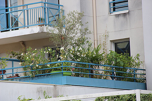 photo du 1er prix de la cat&eacute;gorie balcon
