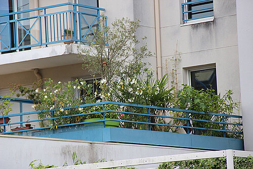 photo du 1er prix de la catégorie balcon