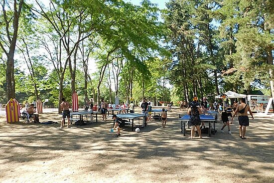 photo de personnes jouant au tennis de table sous les arbres du lac de Maine