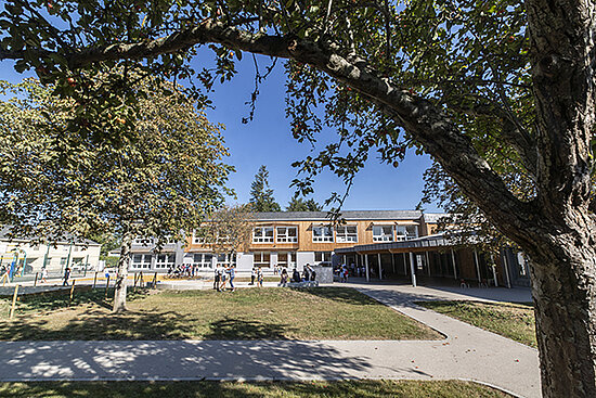 Photo de la cour v&eacute;g&eacute;talis&eacute;e de l&#039;&eacute;cole Pierre-et-Marie-Curie &agrave; Angers.