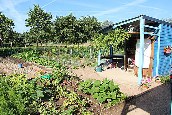 Photos des jardins familiaux de Balzac.