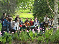Jardin des Plantes &copy; Service &eacute;ducatif Angers, Ville d'art et d'histoire.