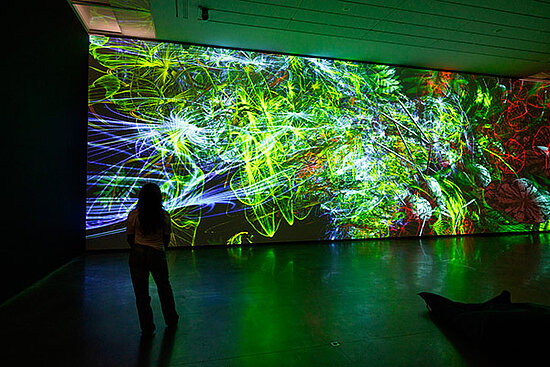 L'exposition Digital Floralia, au mus&eacute;e des beaux-arts