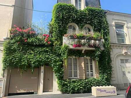 photo de l&#039;am&eacute;nagement v&eacute;g&eacute;tal