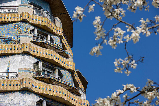 photo de la maison bleue