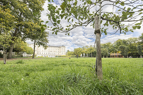 Photo Thierry Bonnet / Ville d'Angers