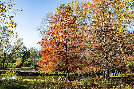 Parc Balzac en automne