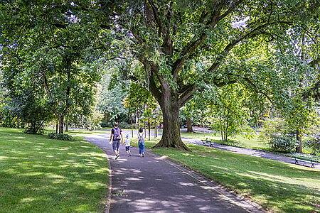 photo du jardin des plantes