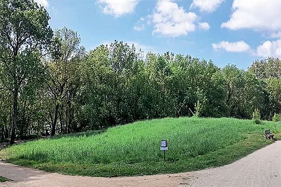 photo du futur lieu de plantation dans le parc balzac