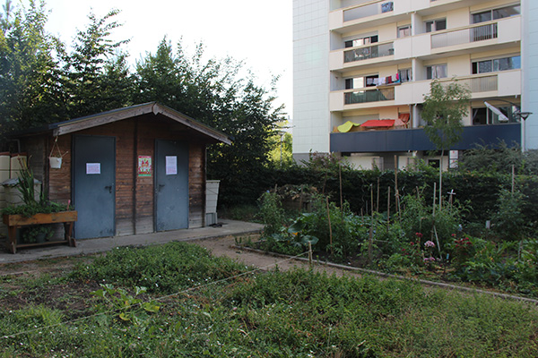 Photo du jardin de pied d'immeuble rue Gagarine.