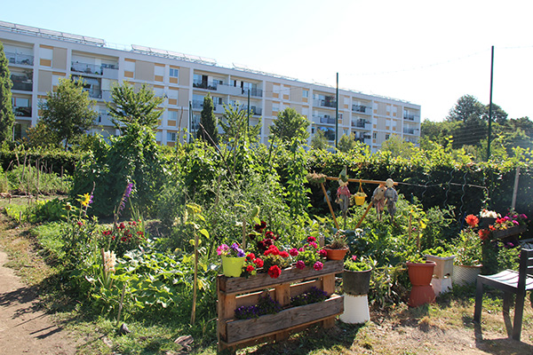 Photo du jardin de pied d'immeuble rue Marc-Sangnier.
