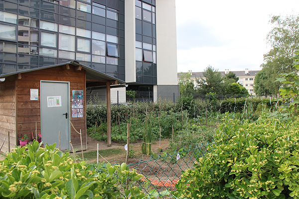 Photo du jardin de pied d'immeuble avenue Patton.