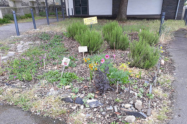 Photo du jardin partag&eacute; La Blancheraie