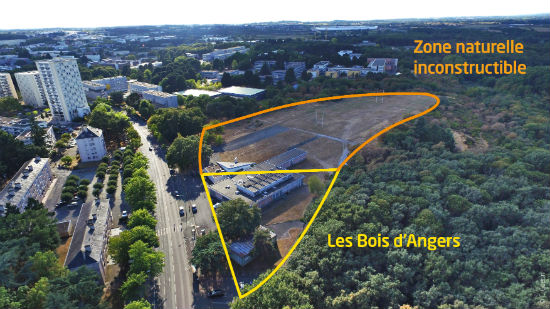 L&rsquo;immeuble en bois sera construit &agrave; proximit&eacute; du parc Saint-Nicolas.