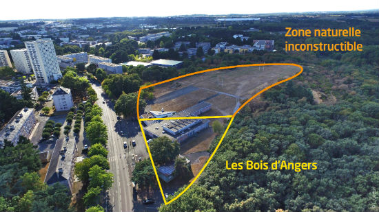 ©Calq arch. & L. Ghotmeh arch. L’immeuble en bois sera construit à proximité du parc Saint-Nicolas.