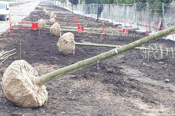 Avancement des travaux au niveau de l'allée Jeanne d'Arc