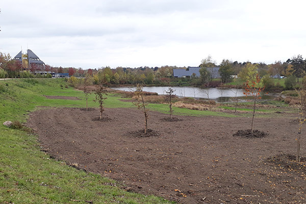 Chantier d'abattage au parc de Loisirs du Lac de Maine