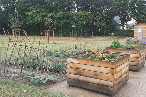 Photo du jardin partagé La Roseraie