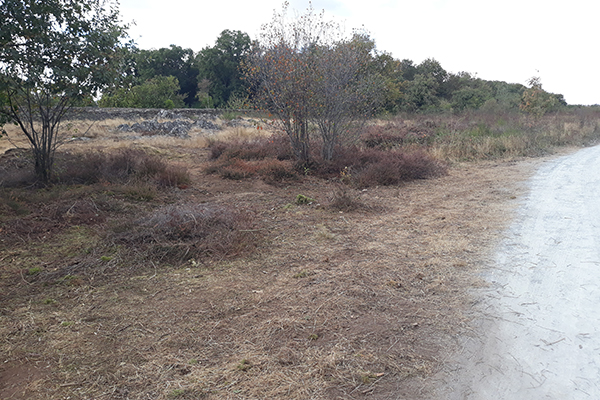 Renaturation des landes de Bruyères, parcs Saint-Nicolas