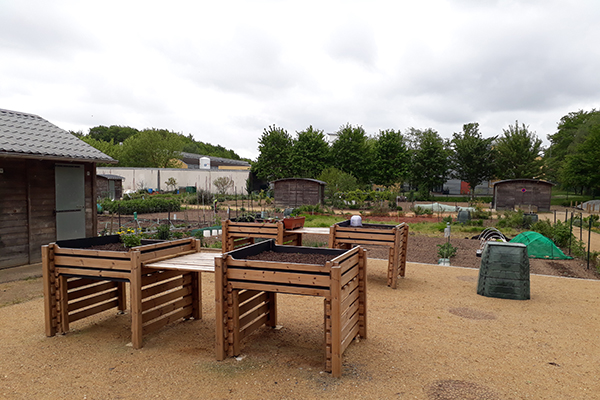 Jardins partagés dans les jardins familiaux de la Haloperie